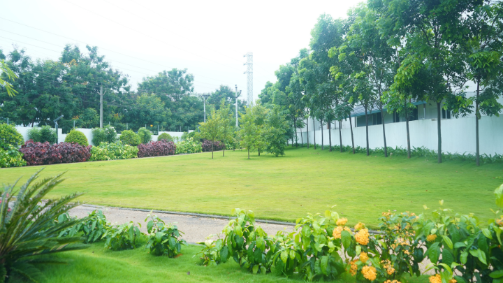 The same community lawn before PropSquare's structured garden maintenance programme