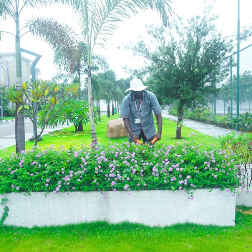 PropSquare horticulture team maintaining landscaped grounds
